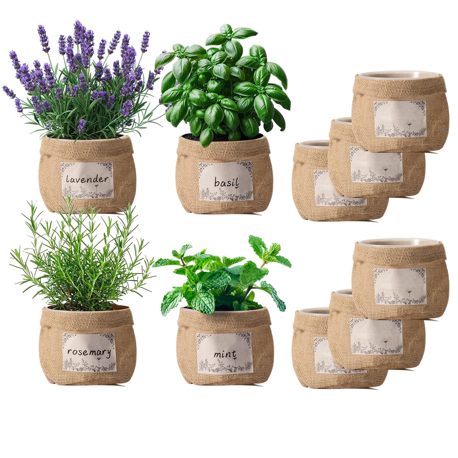 Amazon.com : TineDew 10 Sets herb pots for Indoor Plants,5 inch